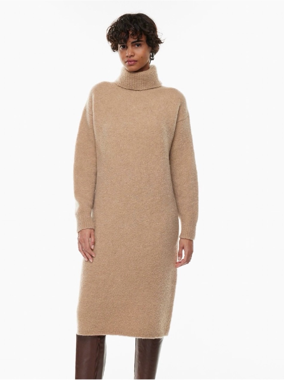 Aritzia Taylor Dress in Camel